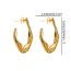 Fashion Gold Stainless Steel Special-shaped Geometric Earrings