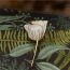Fashion Camellia Alloy Flower Brooch