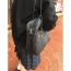 Fashion Black Regular Style Pu Large Capacity Handbag