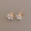 Fashion Gold Metal Pearl C-shaped Earrings
