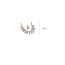 Fashion Necklace-silver (set) Copper Studded Diamond Drop Tassel Necklace And Earrings Set
