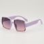Fashion Purple Frame Pc Large Frame Sunglasses