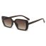 Fashion C10 Sand White Frame Gradually Gray Film Pc Large Frame Sunglasses