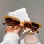 Fashion Leopard Print Frame With Tea Leaves Cat Eye Small Frame Sunglasses