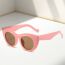 Fashion Pink Frame Tea Slices Pc Cat Eye Large Frame Sunglasses