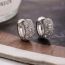 Fashion Silver Copper Inlaid Zirconium Round Earrings