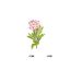 Fashion Flower - Oleander Alloy Geometric Flower Brooch