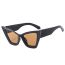 Fashion Tortoiseshell Framed Double Tea Tablets Cat Eye Large Frame Sunglasses