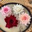 Fashion A Pure White Flowers Fabric Simulated Rose Hairpin