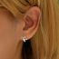 Fashion A Golden Snake Earring For The Right Ear Copper Snake Earring (single)