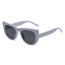 Fashion Transparent Frame All Gray C6 Cat Eye Large Frame Sunglasses