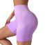 Fashion Light Purple Nylon High Waist Yoga Shorts