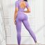 Fashion Light Purple Nylon Seamless Hollow Short-sleeved High-waist Butt-lifting Trousers Suit