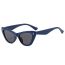 Fashion Blue Frame Gray Film Ac Cat Eye Sunglasses