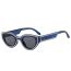 Fashion Blue Frame Gray Film Cat Eye Line Small Frame Sunglasses