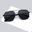Fashion Silver Frame Discoloration Gray Film-c3 Tac Double Bridge Large Frame Sunglasses