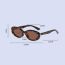 Fashion C5-chestnut Tortoise Shell (tr Polarized) Cat Eye Small Frame Foldable Sunglasses