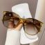 Fashion Olive Framed Tea Slices Pc Large Frame Sunglasses