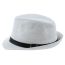 Fashion White Grid Straw Jazz Hat