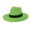 Fashion Light Green Straw Large Brim Sun Hat