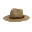 Fashion Brown Straw Large Brim Sun Hat