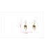 Fashion Silver-dream Catcher Long Zircon Tassel (thickened Real Gold To Preserve Color) Copper And Diamond Dream Catcher Earrings