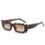 Fashion Leopard Print Frame Double Tea Piece Pc Gear Edge Square Sunglasses