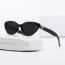 Fashion White Framed Tea Slices Pc Cat Eye Sunglasses