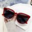 Fashion Jelly Red Frame Black And Gray Slices Pc Large Frame Sunglasses
