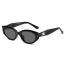 Fashion Transparent Gray Frame Gray Piece (hinge) Cat Eye Hinge Sunglasses