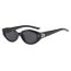 Fashion Solid White Gray Flakes Rice Nail Cat Eye Small Frame Sunglasses