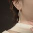 Fashion A Snake Bone Tassel Earring-silver Copper Snake Bone Chain Earrings (single)
