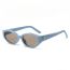 Fashion Blue Framed Champagne Slices Cat Eye Sunglasses