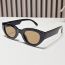 Fashion White Frame Double Gray Film Cat Eye Large Frame Sunglasses