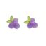 Fashion Grape Resin Fruit Earrings