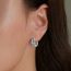 Fashion Color Silver Diamond Flower Earrings