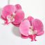 Fashion Glitter Resin Flower Earrings