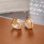 Fashion Pearl Ear-rings Geometric Pearl Earrings