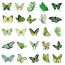 Fashion 50 Green Butterfly Stickers Uu300 50 Butterfly Geometric Waterproof Stickers