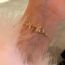 Fashion Bracelet-gold Copper Diamond Butterfly Bracelet
