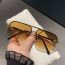 Fashion Gold Frame All Gray Piece Ac Double Bridge Rimless Leopard Head Square Sunglasses