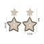 Fashion Five-pointed Star Diamond Stud Earrings E759 Stainless Steel Five-pointed Star Diamond Earrings