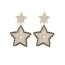 Fashion Five-pointed Star Diamond Stud Earrings E759 Stainless Steel Five-pointed Star Diamond Earrings