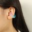 Fashion Transparent Resin Earrings Resin Contrasting C-shaped Earrings