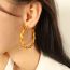 Fashion Medium Gold Earrings Metal Twist Twist Earrings