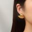 Fashion Gold Titanium Steel Wave Earrings