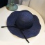 Trendy Sapphire Blue Bowknot Decorated Wave Shape Sun Hat
