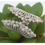 Fashion Silver Color Round Shape Diamond Decorated Wings Shape Hollow Out Ring