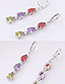 Elegant Zircon Color Matching Decorated Long Earrings