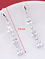 Elegant Zircon Oval Shape Diamond Decorated Long Earrings